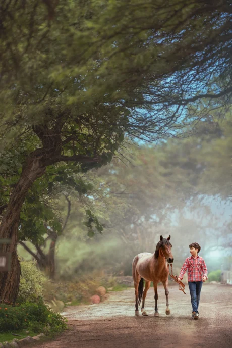 Banner Coaching-01